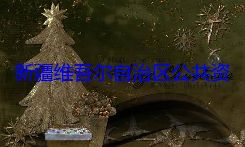 自治区公共资源交易中查调查建强接受审新疆维吾尔心副主任薛